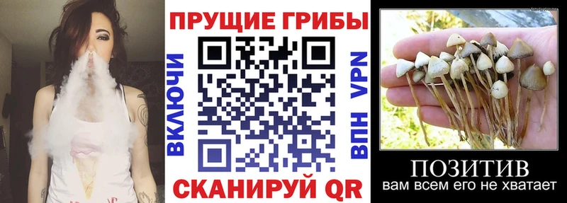 Галлюциногенные грибы ЛСД  Дубна 